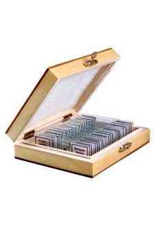 Preparaty biologiczne - ZOOLOGIA