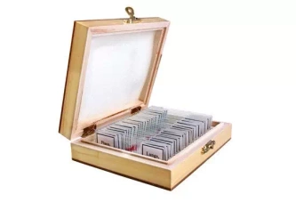 Preparaty biologiczne - ANATOMIA CZŁOWIEKA